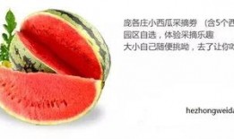 吃瓜福利中心,带你领略瓜界盛宴背后的秘密