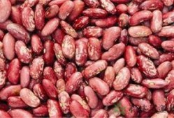 糖花黄毛吃瓜,揭秘网络热梗背后的故事