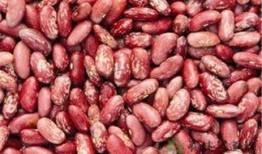 糖花黄毛吃瓜,揭秘网络热梗背后的故事