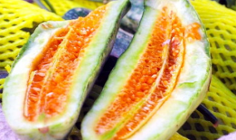 密逃吃瓜菌,揭秘娱乐圈背后的秘密与八卦