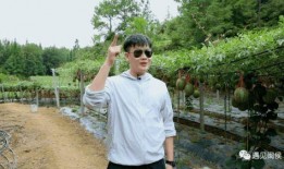 最新吃瓜村主任,揭秘吃瓜村的秘密风云