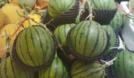 吃瓜程度,吃瓜群众深度解析