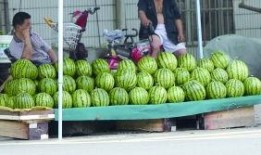 夜南京吃瓜,揭秘这座古都的“吃瓜”风情