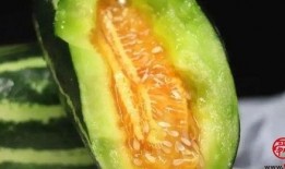 吃瓜可以喝药吗,吃瓜同时可否服药？揭秘瓜果与药物相克真相