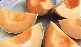 奔跑吧哈密瓜吃瓜