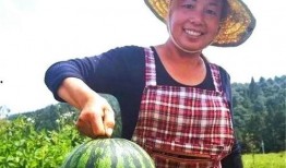 贵阳情侣吃瓜事件,一场网络热议背后的真相揭秘