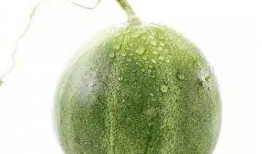 北京人吃瓜什么意思啊,吃瓜背后的文化内涵