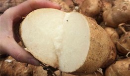 吃瓜改吃土,社会现象的变迁与反思