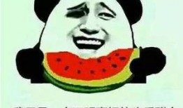 我们都是吃瓜吗,网络时代的围观文化现象