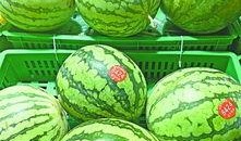 武汉吃瓜最新视频,揭秘街头美食风云录