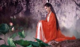 吃瓜探长仙女阁,揭秘娱乐圈背后的神秘故事