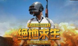 吃鸡吃瓜氪cp,CP文化新潮流