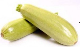 怀孕吃茭瓜好吗,茭瓜的营养价值与食用建议