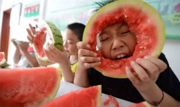 全家围着吃瓜,一家人的温馨食光