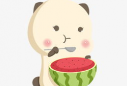 吃瓜小熊长隆,揭秘萌宠乐园的欢乐时光