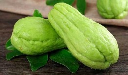 佛手瓜和桂圆能一起吃吗,佛手瓜与桂圆同食的适宜性探讨