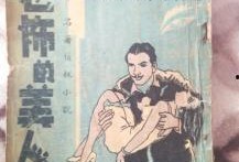 民国吃瓜小说,吃瓜群众眼中的权谋与爱情