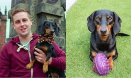 吃瓜群众与吃瓜狗,揭秘网络时代的“瓜文化”现象