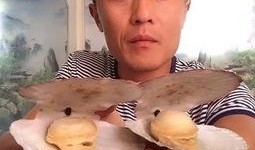 吃瓜直播搞笑帅哥视频,带你领略欢乐时光