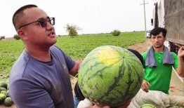 郭正亮吃瓜,揭秘娱乐圈幕后真相