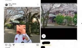 2022吃瓜视频,笑料百出，娱乐圈风云再起