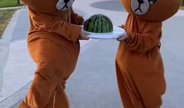 吃瓜小熊长隆,揭秘萌宠乐园的欢乐时光