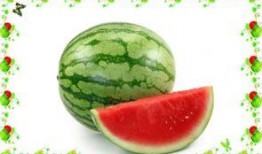 在线吃瓜语文,揭秘“在线吃瓜”背后的文化现象