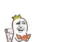 有趣故事吃瓜,一场趣味横生的吃瓜大冒险