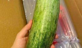 瓜吃皮吃瓤甜瓜,探索甜瓜的多重口感魅力