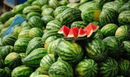 二达子吃瓜视频,揭秘娱乐圈幕后故事