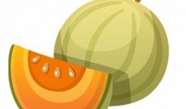 带你吃瓜之吃太阳