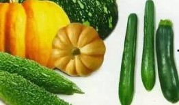 吃瓜的老灵魂,穿越时空的味蕾回忆