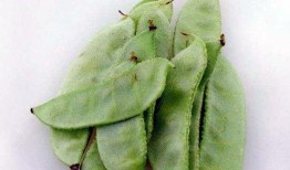 吃瓜不如吃豆什么意思,探寻健康生活的秘密