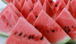 吃瓜爽瓜,吃瓜爽瓜，尽享清凉一夏