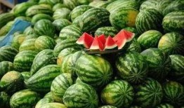 地王吃瓜,揭秘房地产市场的另类现象