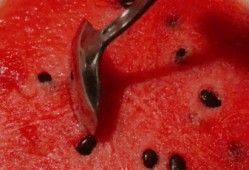 艺芝吃瓜,揭秘娱乐圈背后的那些事儿