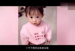 小雨吃瓜事件,揭秘网络舆论的狂欢与反思