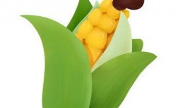 吃瓜装饰素材,装饰生活新风尚