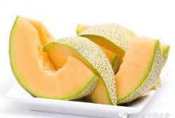 小猫吃哈密瓜呕吐