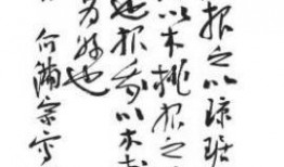 诗经吃瓜,古韵悠长的食文化探寻