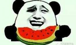 带你吃瓜动物补全