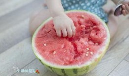 小雨吃瓜事件,揭秘网络舆论的狂欢与反思