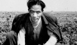 焦裕禄不让孩子吃瓜,不让孩子吃瓜的清廉故事