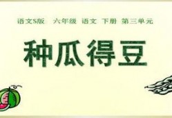 在线吃瓜语文,揭秘“在线吃瓜”背后的文化现象