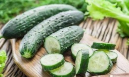 吃瓜激素,揭秘瓜果中的神奇成分