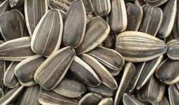 怀孕吃葵瓜好不,葵瓜——孕妇的天然营养佳品