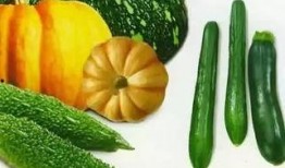 会瓜怎么吃,解锁夏日清新美味