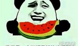 吃瓜群众内涵,揭秘“吃瓜群众”背后的社会现象与心理解读