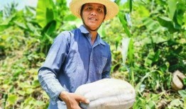 吃瓜的农民,揭秘乡村生活新风尚