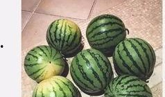 吃瓜看这,吃瓜群众视角下的娱乐圈风云录